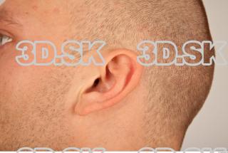 Ear texture of Bystrik 0002